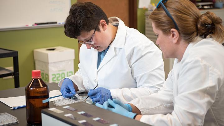 Photo of professor mentoring student in neuroscience lab.